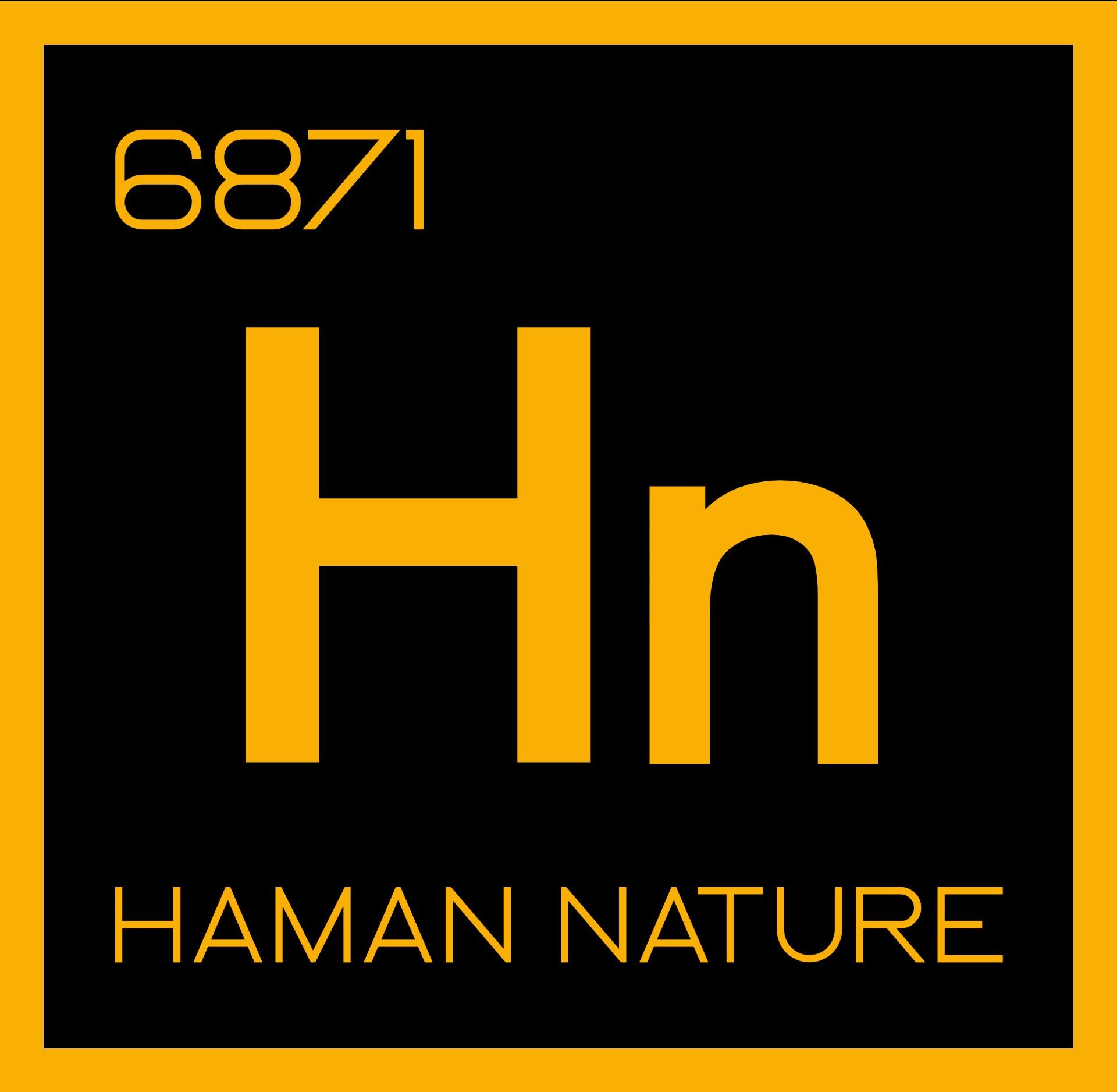 HN Podcast
